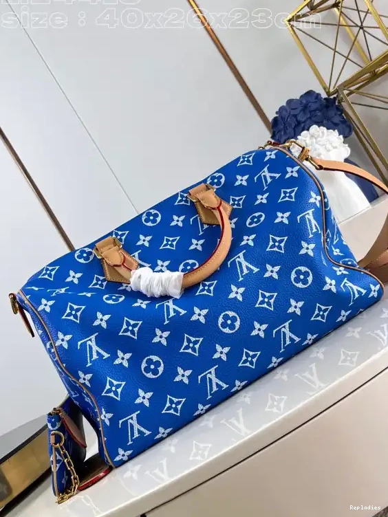 Fake Louis Bags Vuitton 40 SPEEDY Louis 0520